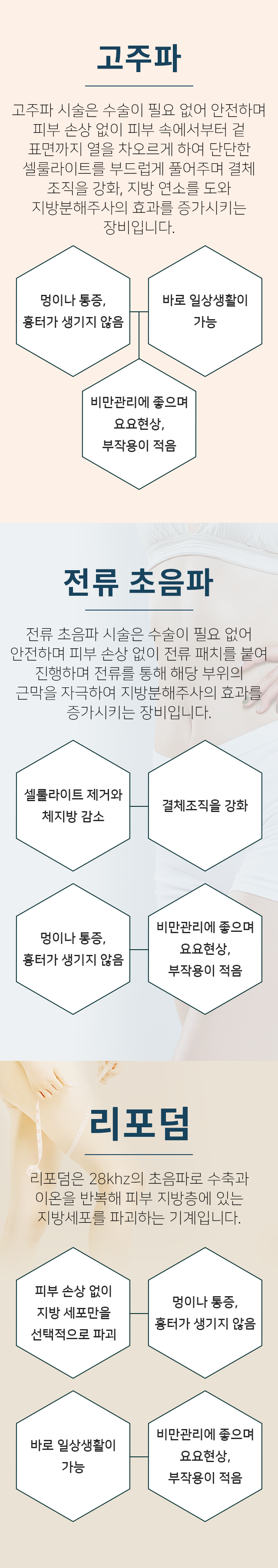 비만장비