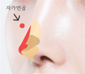 2번이미지